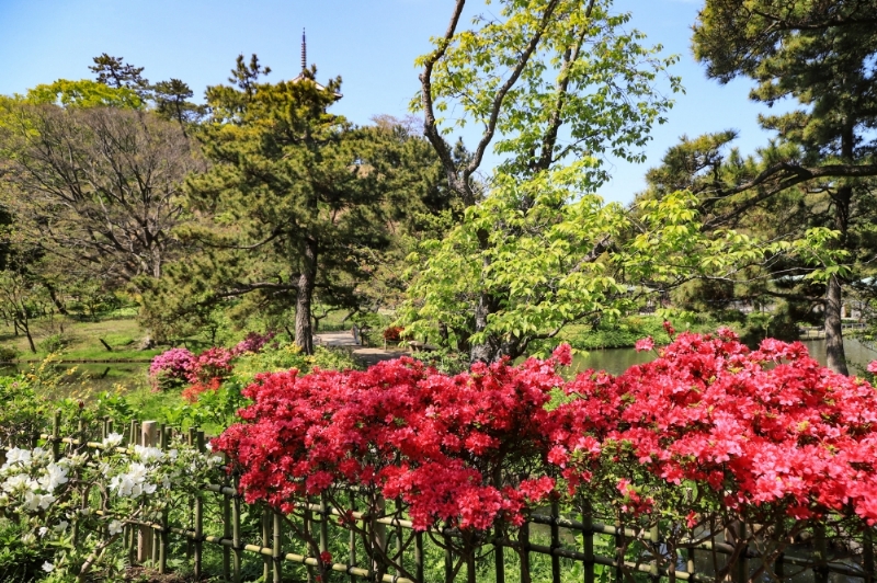 Jardín Sankeien