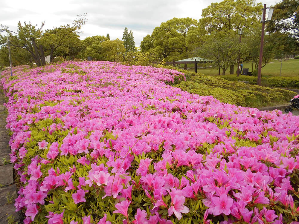 สวนสาธารณะนากาฮามะ