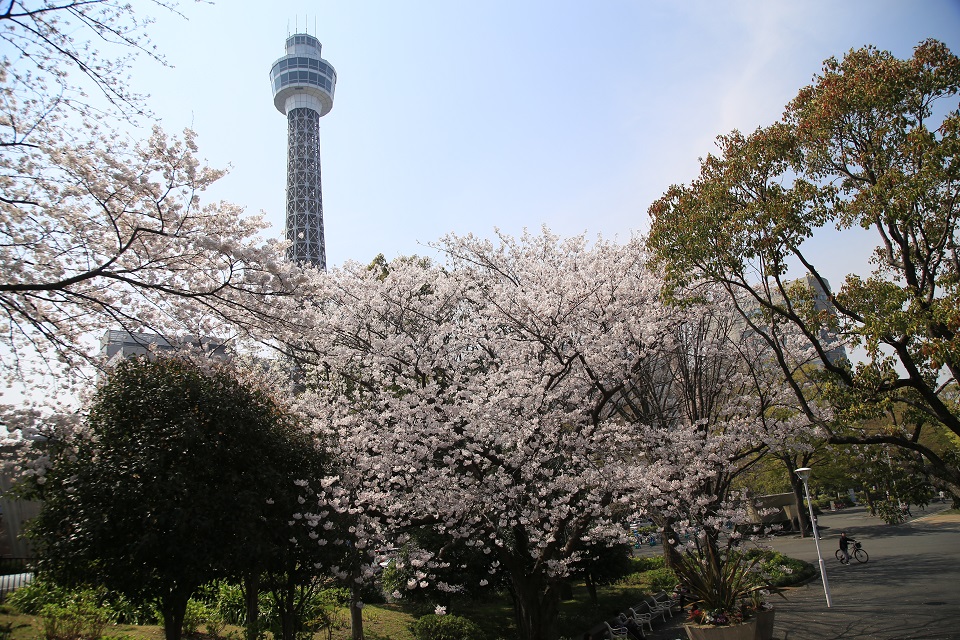 4. Parque Yamashita