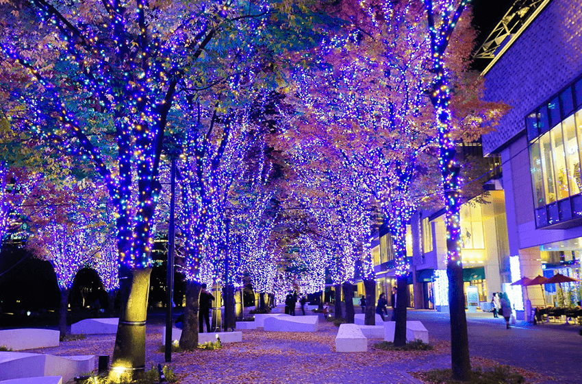 Grand Mall Park Bright Illumination 2017-2018