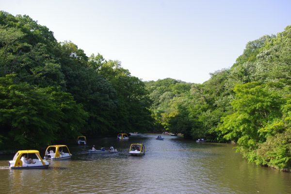 Parque temático KODOMO-NO-KUNI