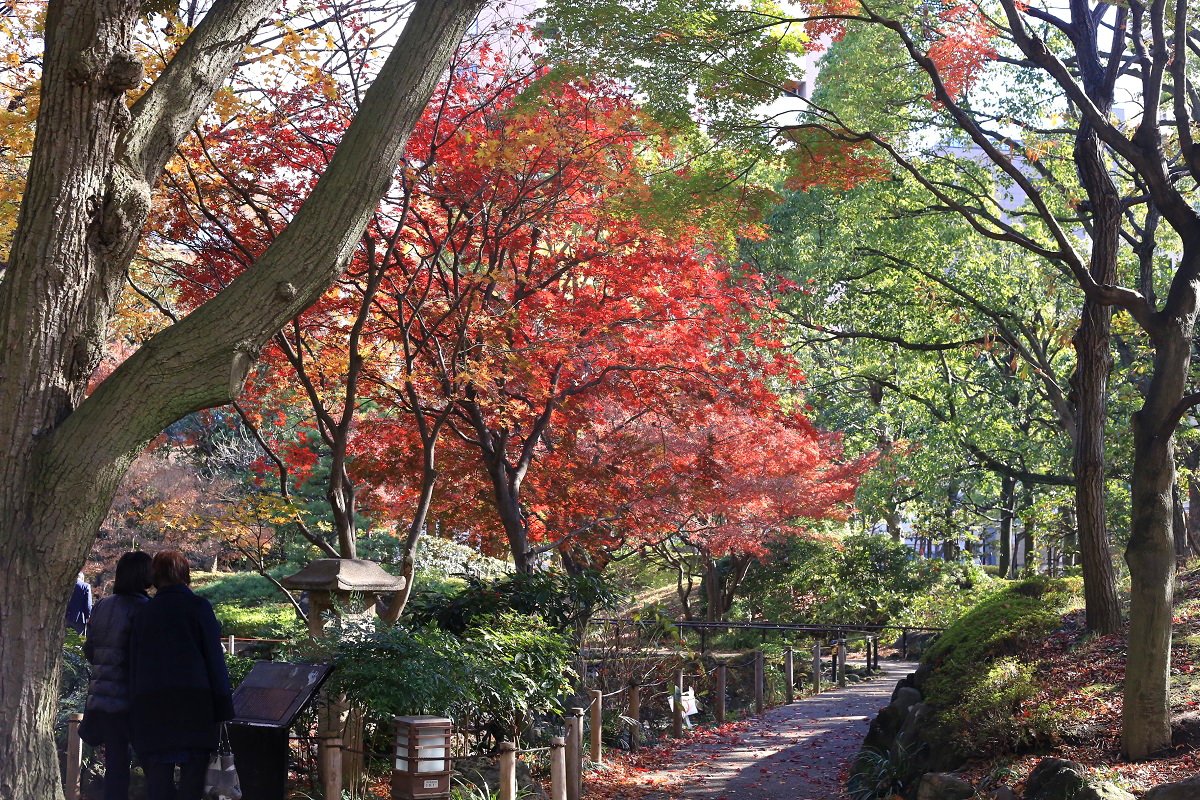 10. 요코하마 공원