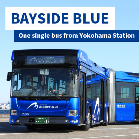 Yokohama dengan bus BAYSIDE BLUE!