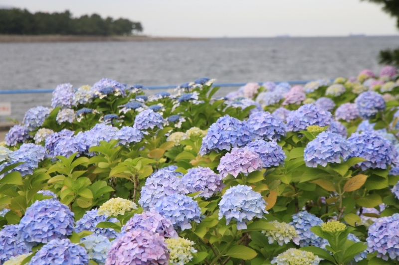 Parque temático Yokohama Hakkeijima Sea Paradise