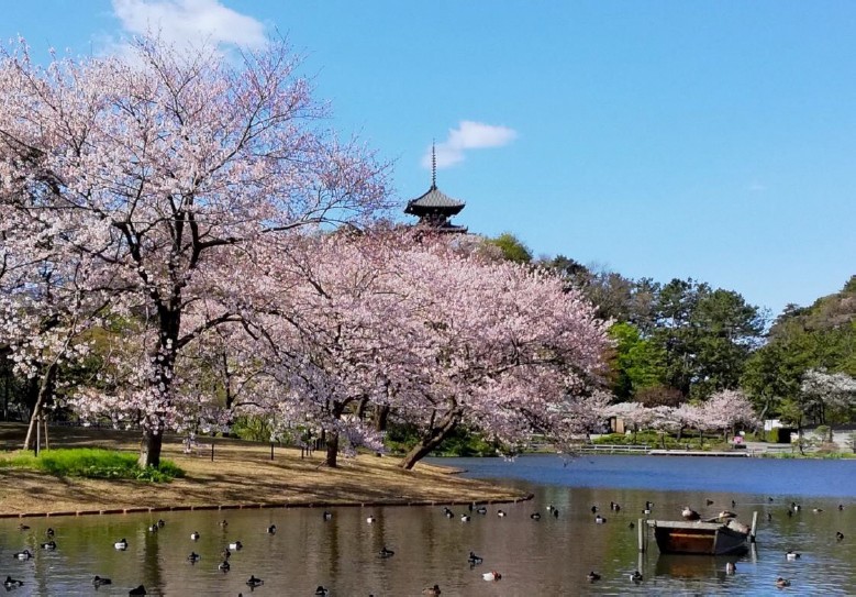 5. Sankeien Garden