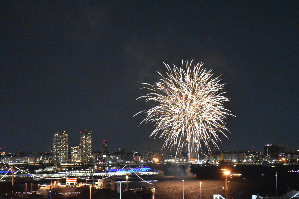 Viewing the Fireworks from Harbor View Park