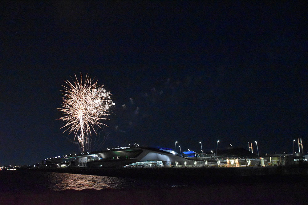 Viewing the Fireworks from Zou-no-Hana Park