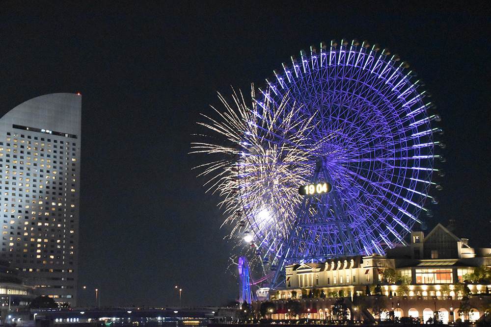 Viewing the Fireworks from Nippon Maru Memorial Park