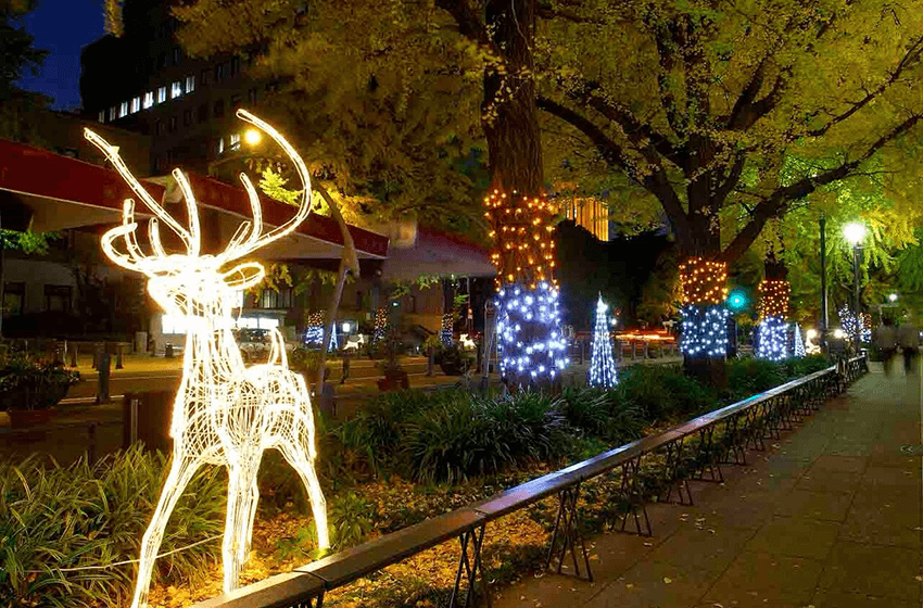 16.Nihon Odori Street Winter Illuminations 2017