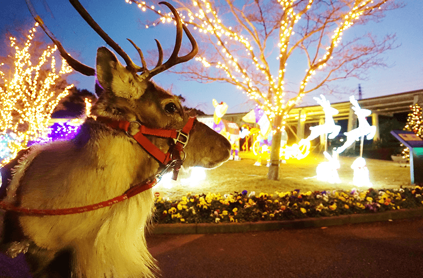 21.Yokohama Zoological Gardens 