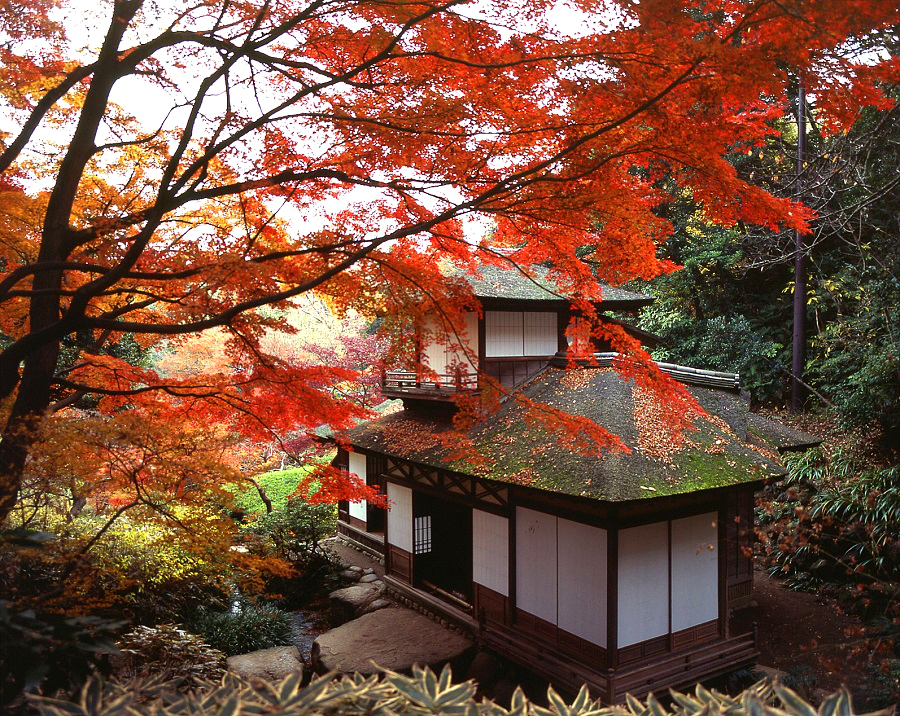 1. Jardin Sankei-en
