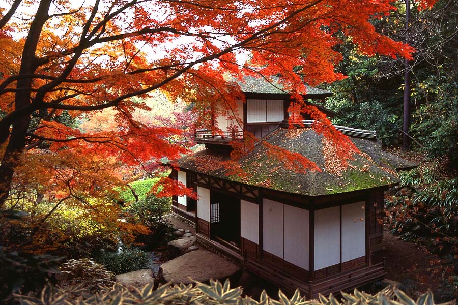 1. Sankeien Garden2