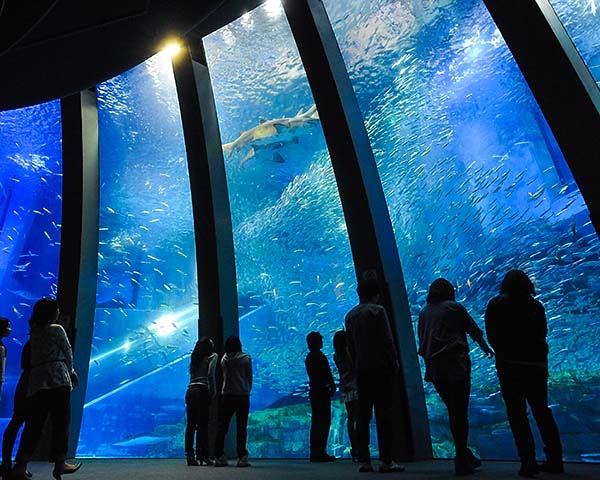 1.Yokohama Hakkeijima Sea Paradise