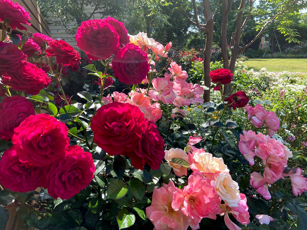 Yamate Italian Garden
