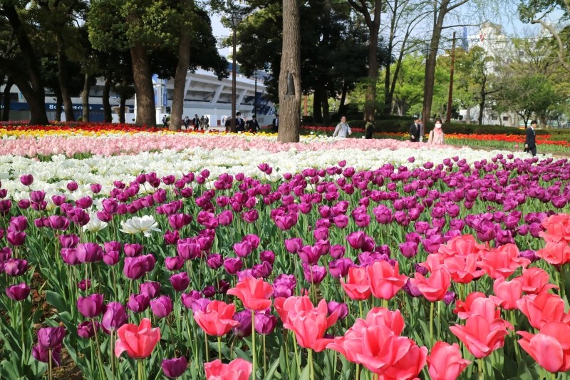 Yokohama Park