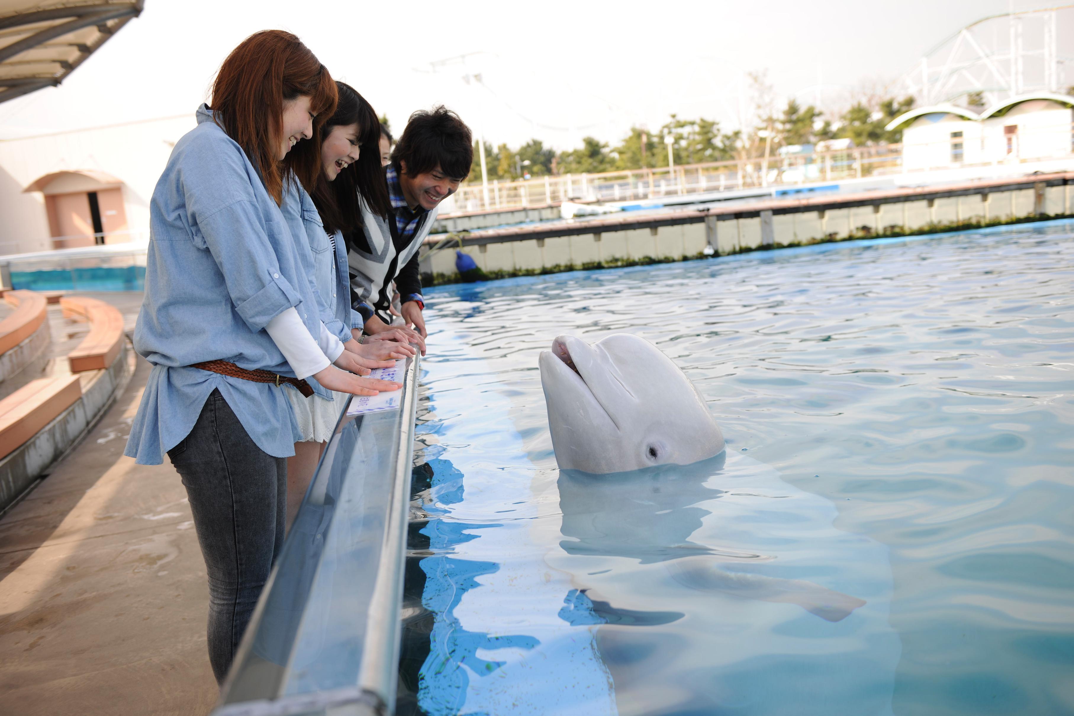 Taking your Kids to Yokohama!(Yokohama Hakkeijima Sea Paradise) 