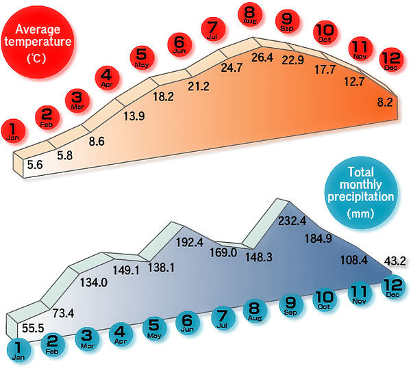 Average temperature, Total monthly precipitation