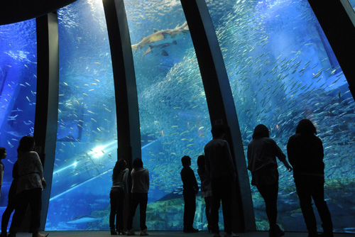 Day Trips (Nearby Attractions)