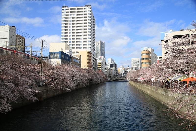 <Canceled> 28e Festival Ookagawa Sakura 2020
