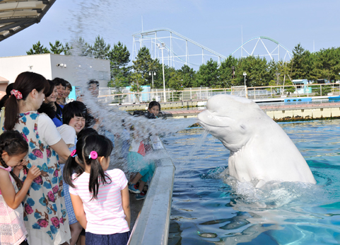 Aquarium summer event “Natsu-Para!”