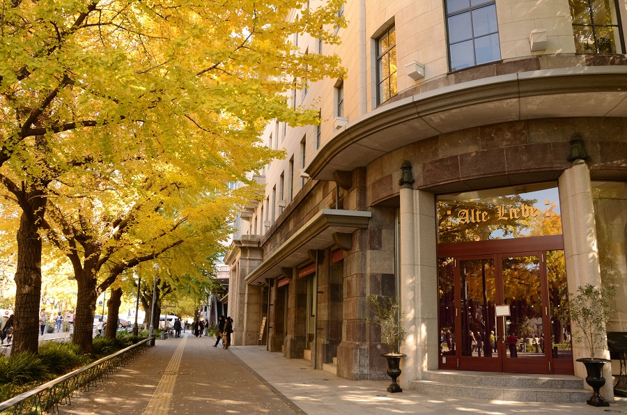Yokohama Autumn Foliage 2023 -Top 10 Places to See Autumn Colors-