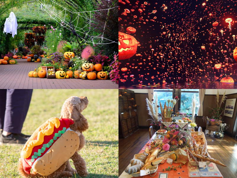 Halloween Events in Yokohama 2026: 8 Spooky and Fun Things to Do This Autumn