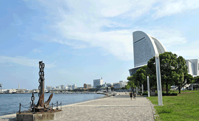 Rinko Park