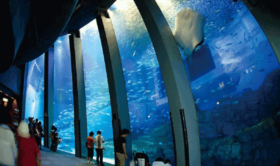 Yokohama Hakkeijima Sea Paradise