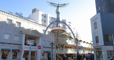 Shopping and Souvenirs