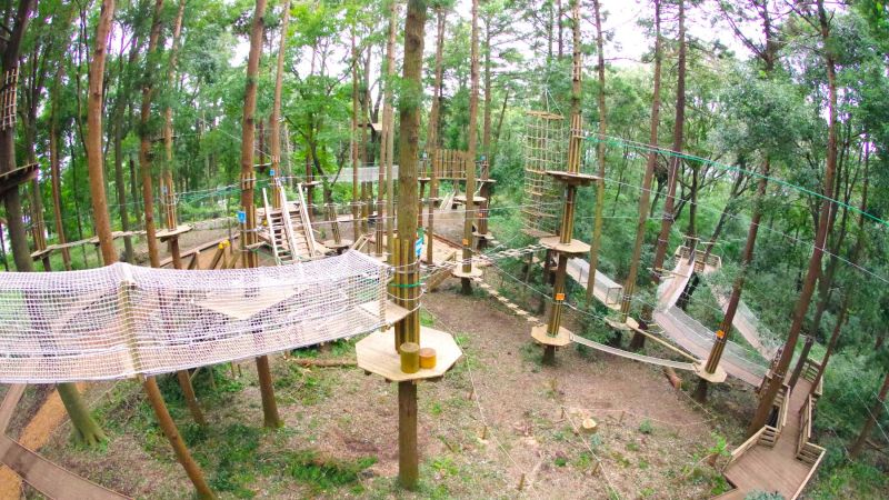 Forest Adventure Yokohama