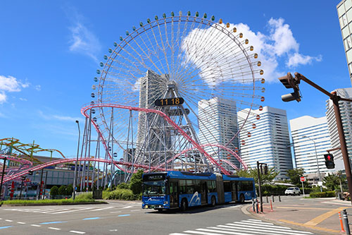 Sightseeing Excursion Bus “BAYSIDE BLUE