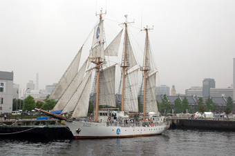 요코하마 개항제