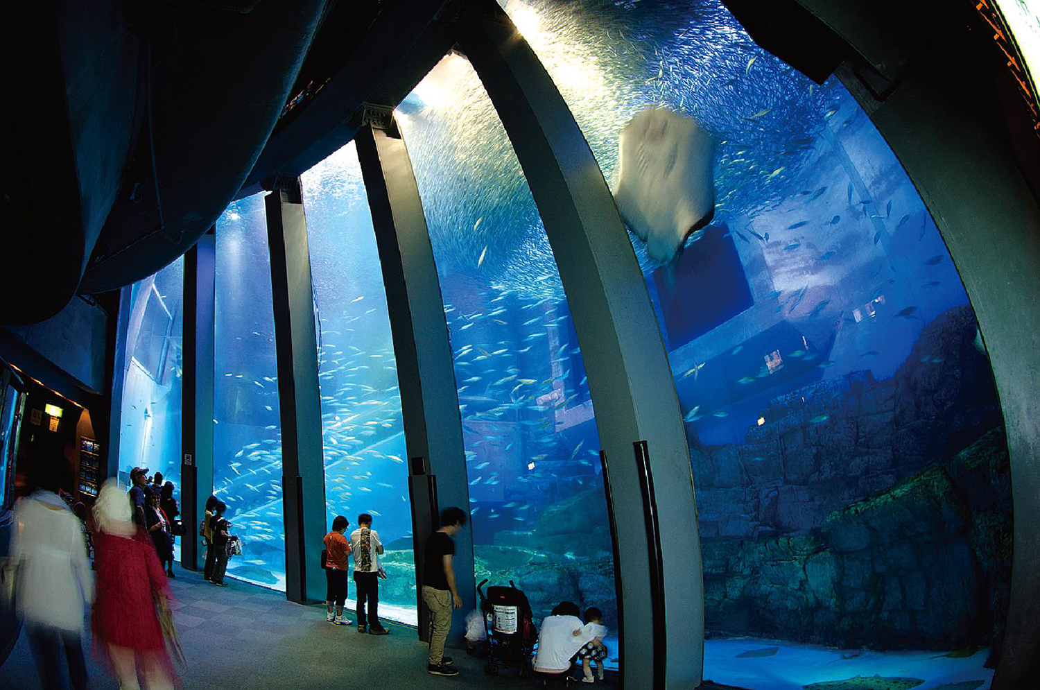 Yokohama Hakkeijima Sea Paradise