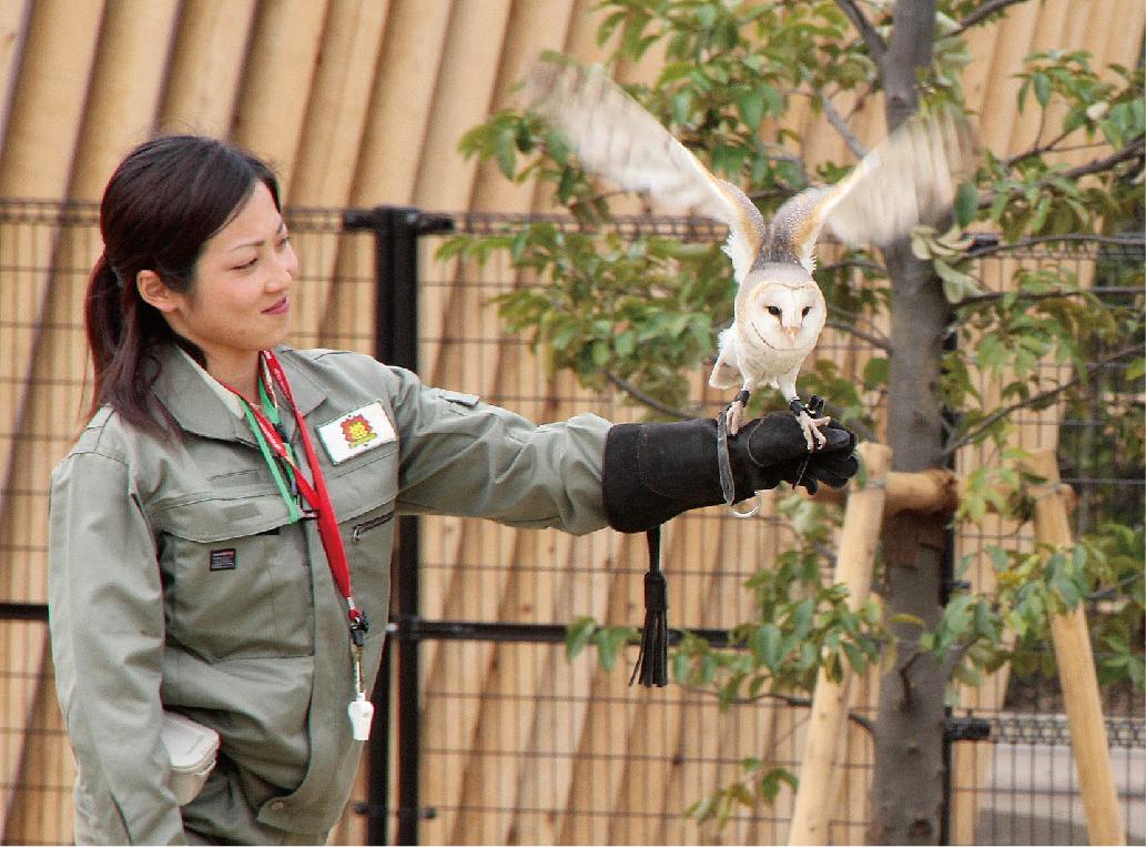 Yokohama Zoological Gardens "ZOORASIA"