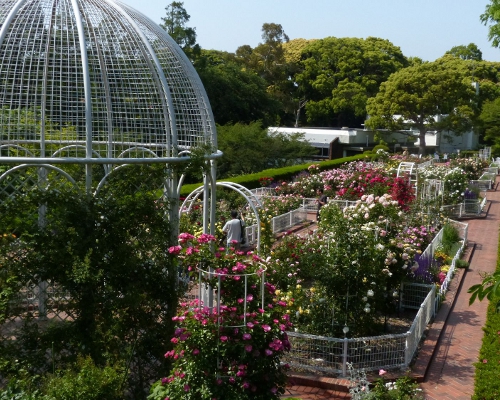 Yokohama Municipal Children&rsquo;s Botanical Garden・Play Ground