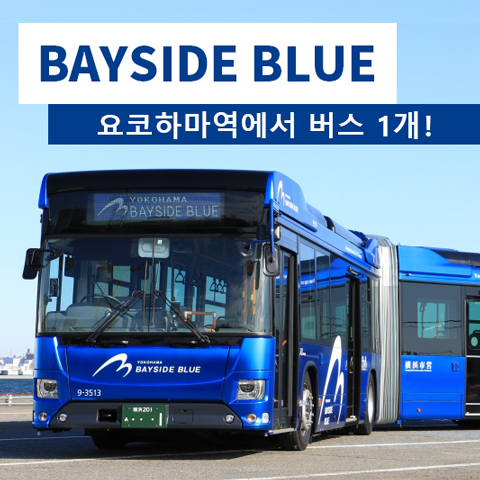 BAYSIDE BLUE (베이사이드 블루) 로 요코하마 관광 !