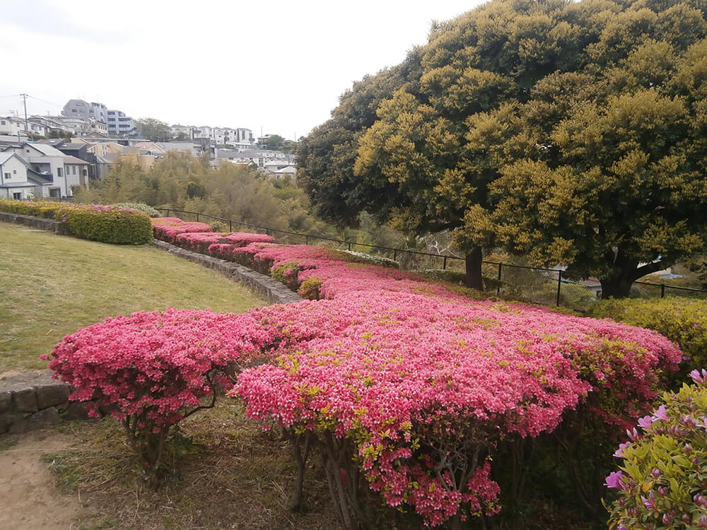 도미오카 종합 공원