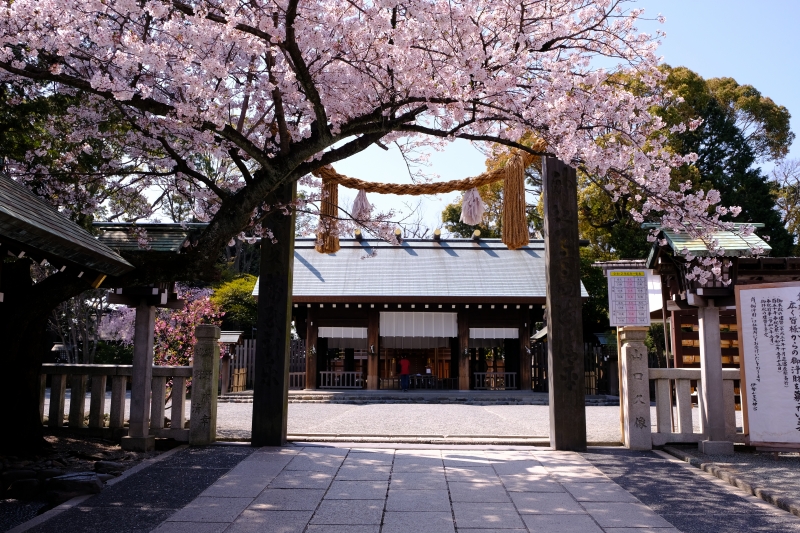 요코하마의 역사적인 신사와 절에서 산책