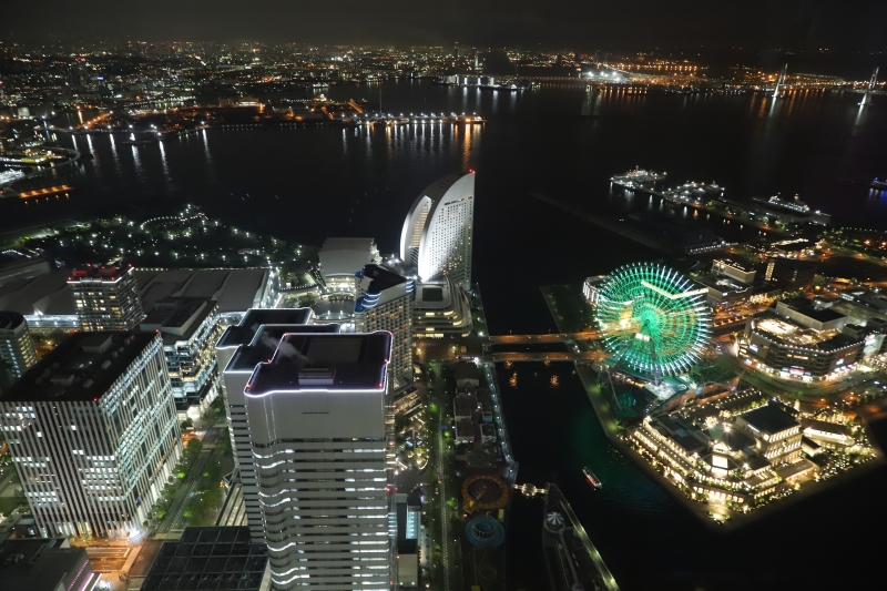  스카이가든에서 기적의 야경 체험 "CITY LIGHT FANTASIA BY NAKED - NEW WORLD -"