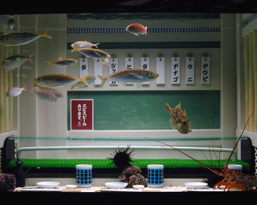 요코하마 오모시로 수족관 / 아기 물고기의 수족관