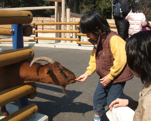 요코하마시립 가나자와 동물원