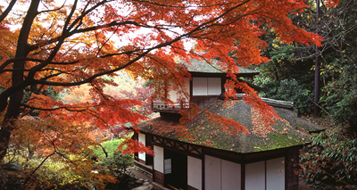 本牧/元町/山手