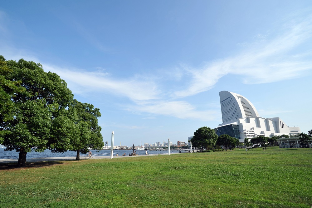 Rinko Park