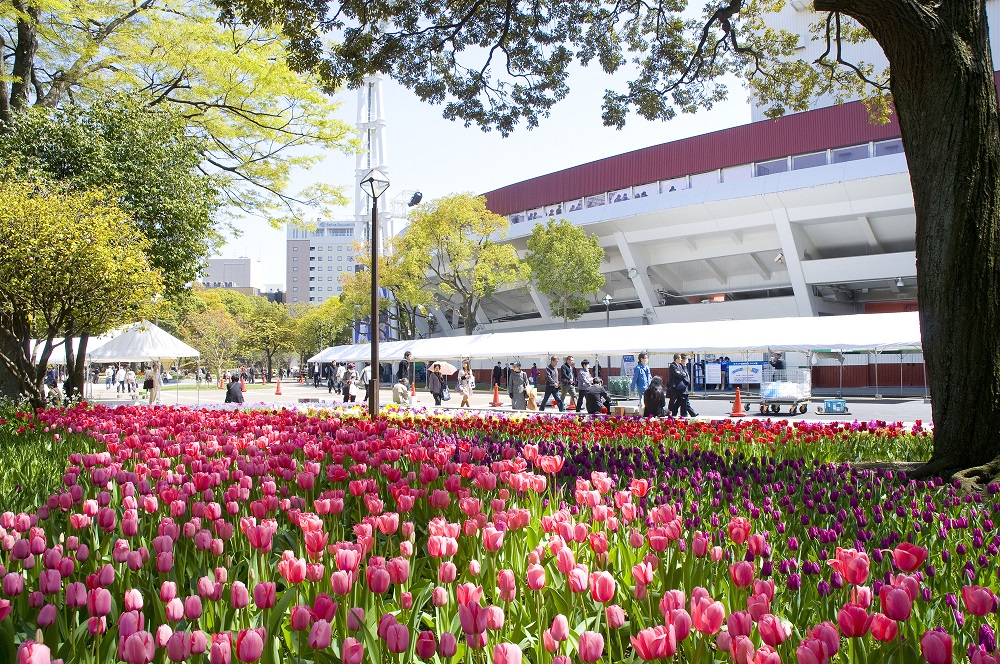 Yokohama Park