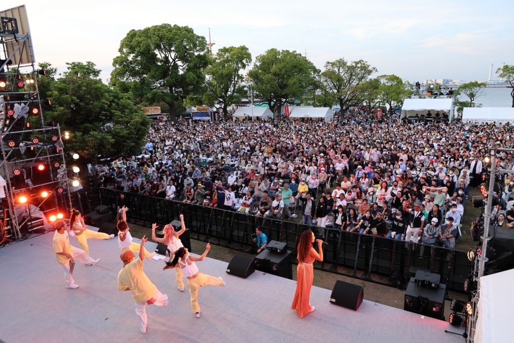 Hama Fes Y166